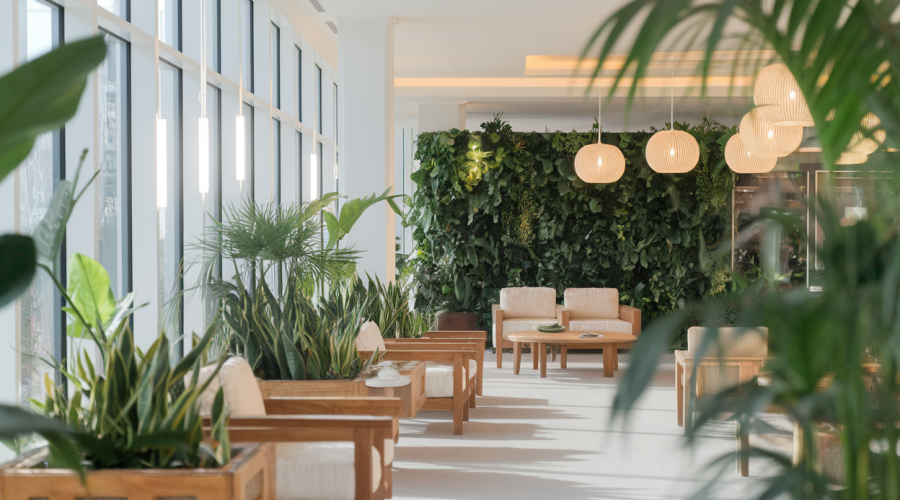 Comment aménager votre maison pour un style de vie plus éco-responsable ?